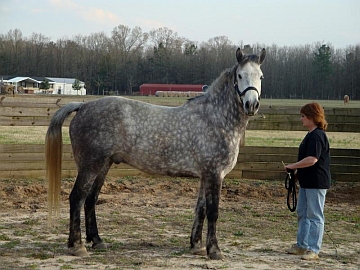 Merlin Posing with Lynda