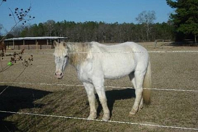 Shannon at 26 years of age