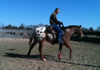 First Ride at the Farm