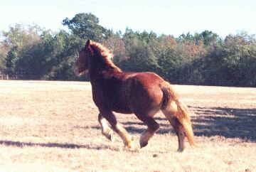 Titan in Motion